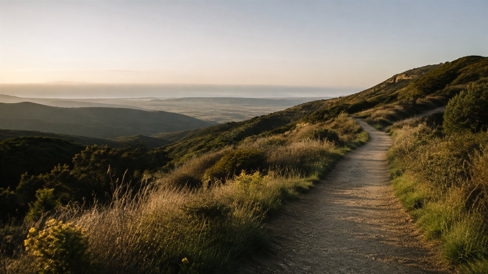 A hillside trail leading toward a wide golden sunrise over distant mountains